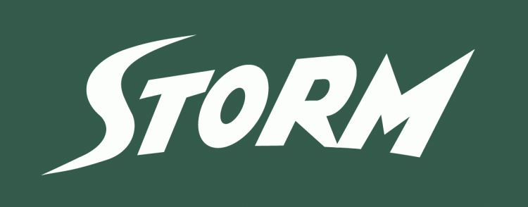 Seattle Storm 2000-Pres Wordmark Logo iron on transfers for T-shirts